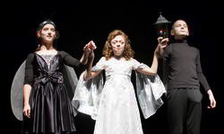 Невероятное приключение… Мухи на сцене