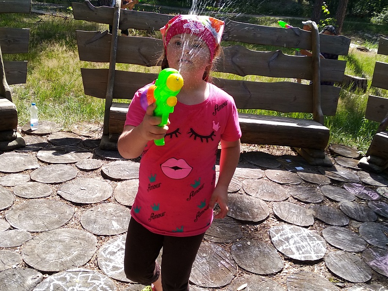 Территория семьи. Лето.