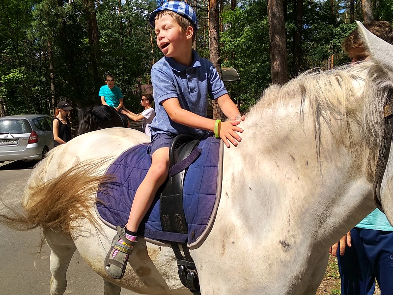 Территория семьи. Лето.