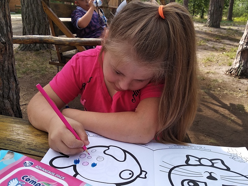 Территория семьи. Лето.