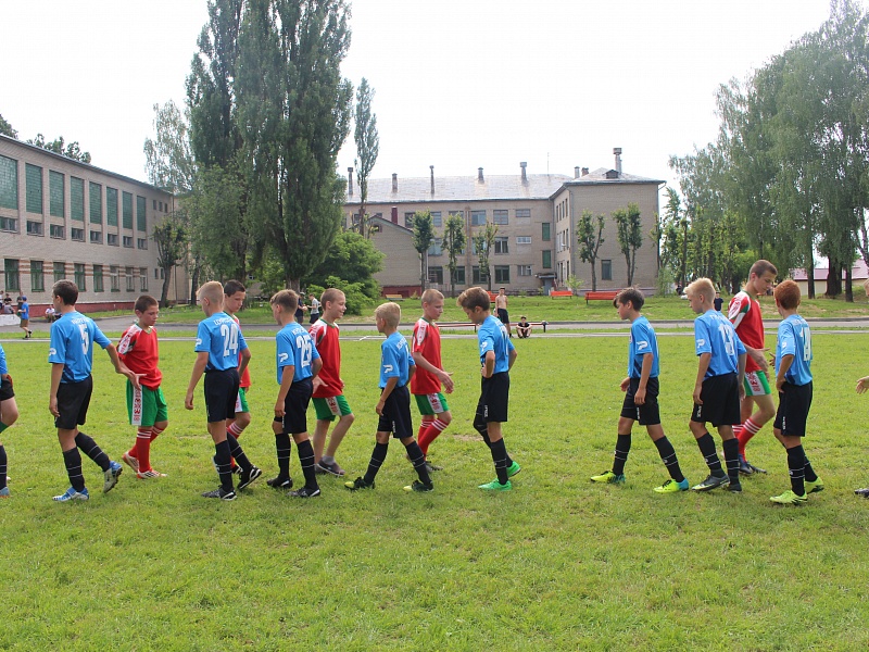 "A Week of Good Deeds!" in the Mogilev special school  