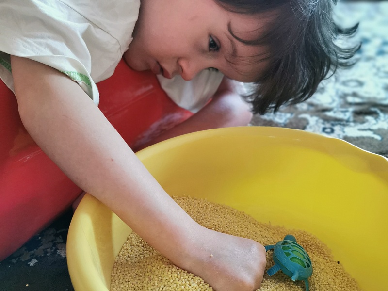 Лагерь в Городище