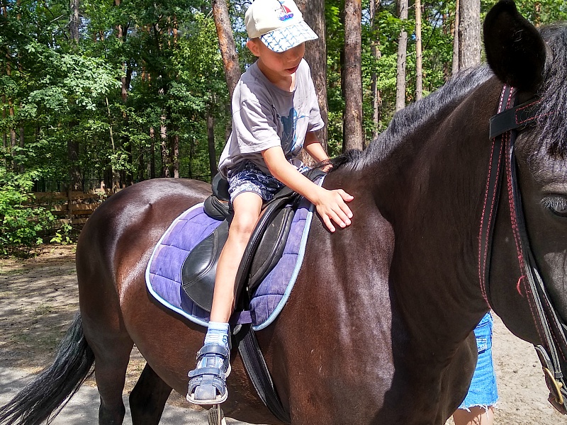 Территория семьи. Лето.