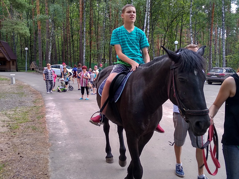 Территория семьи. Лето.