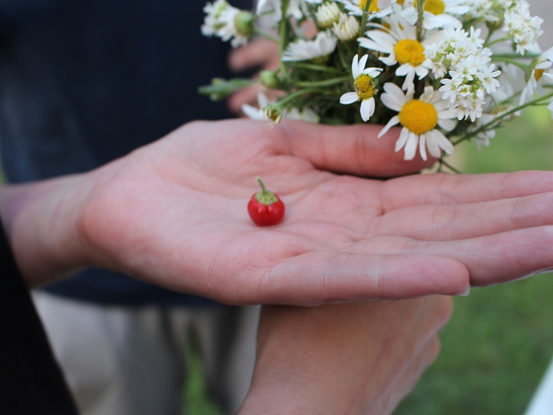 "A Week of Good Deeds!" in the Mogilev special school  