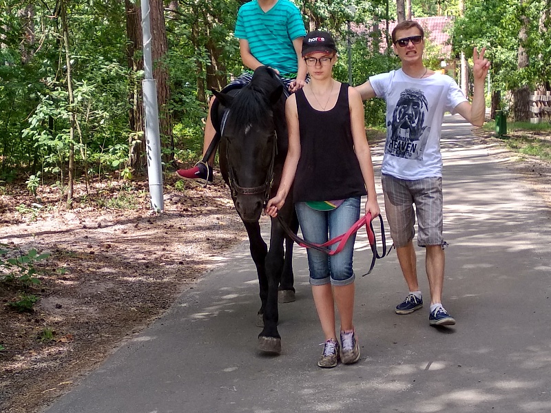 Территория семьи. Лето.