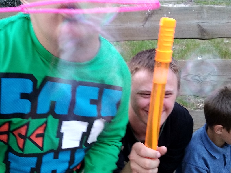 Территория семьи. Лето.