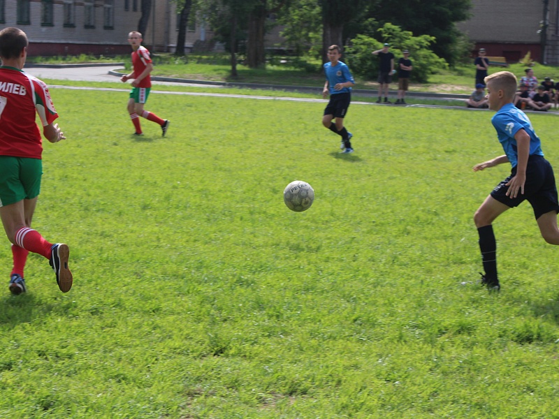 "A Week of Good Deeds!" in the Mogilev special school  