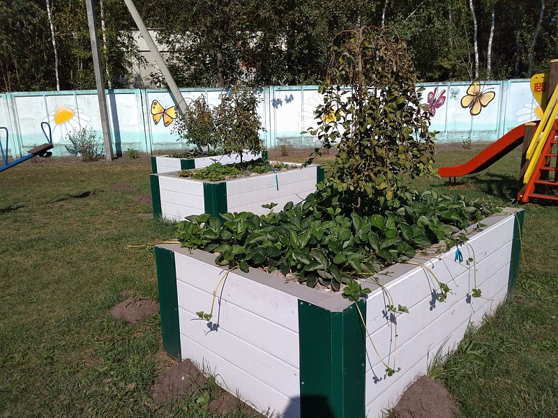 Learn and keep learning.