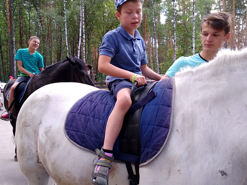 Территория семьи. Лето.