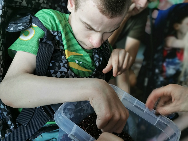 Лагерь в Городище