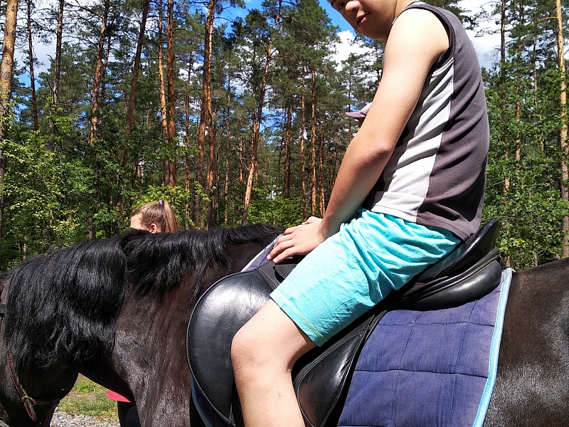 Территория семьи. Лето.