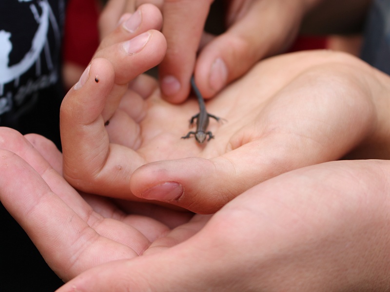 Therapeutic program “Go up against yourself!”